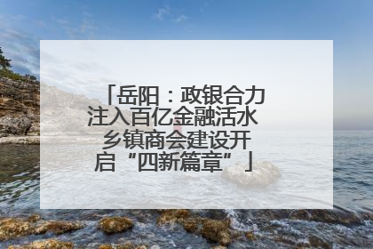 岳阳：政银合力注入百亿金融活水 乡镇商会建设开启“四新篇章”
