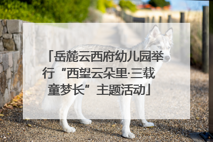 岳麓云西府幼儿园举行“西望云朵里·三载童梦长”主题活动