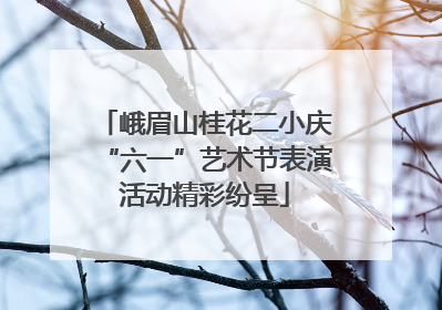 峨眉山桂花二小庆“六一”艺术节表演活动精彩纷呈
