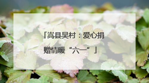 嵩县吴村：爱心捐赠情暖“六一”