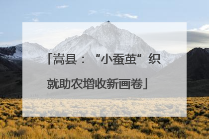 嵩县：“小蚕茧”织就助农增收新画卷