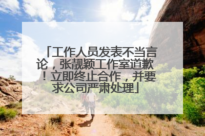 工作人员发表不当言论，张靓颖工作室道歉！立即终止合作，并要求公司严肃处理