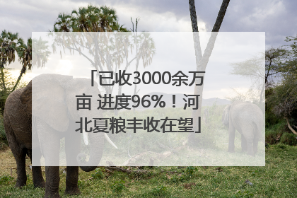已收3000余万亩 进度96%！河北夏粮丰收在望