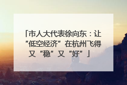 市人大代表徐向东：让“低空经济”在杭州飞得又“稳”又“好”