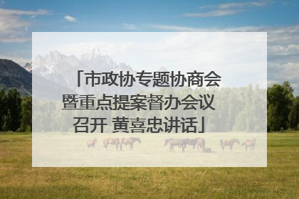 市政协专题协商会暨重点提案督办会议召开 黄喜忠讲话