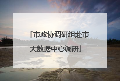 市政协调研组赴市大数据中心调研