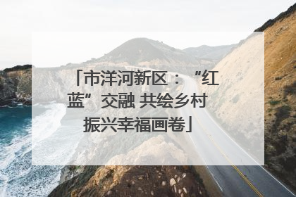 市洋河新区：“红蓝”交融 共绘乡村振兴幸福画卷