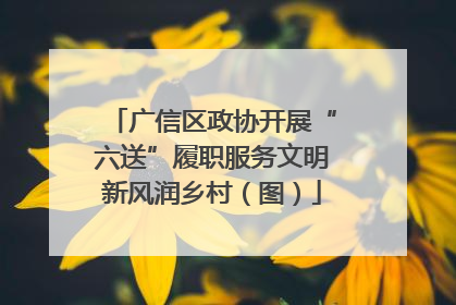 广信区政协开展“六送”履职服务文明新风润乡村（图）