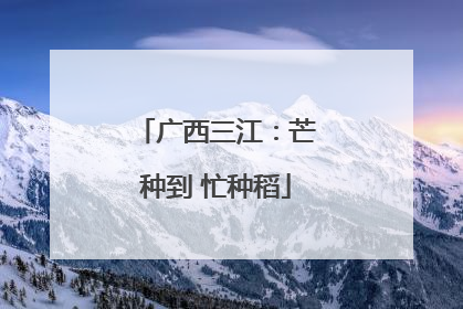 广西三江：芒种到 忙种稻