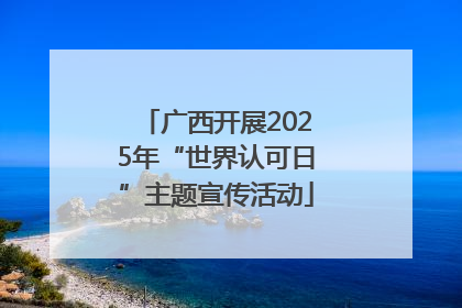 广西开展2025年“世界认可日”主题宣传活动