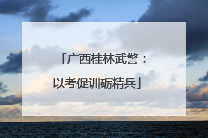 广西桂林武警：以考促训砺精兵