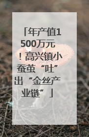 年产值1500万元！高兴镇小蚕茧“吐”出“金丝产业链”