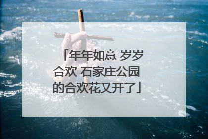 年年如意 岁岁合欢 石家庄公园的合欢花又开了