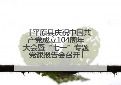 平原县庆祝中国共产党成立104周年大会暨“七一”专题党课报告会召开