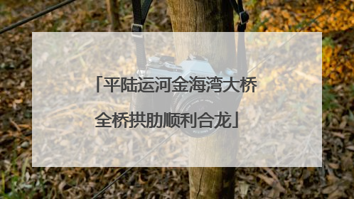 平陆运河金海湾大桥全桥拱肋顺利合龙
