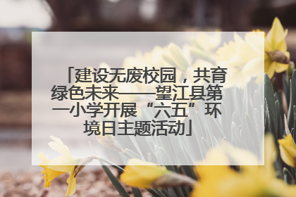 建设无废校园，共育绿色未来——望江县第一小学开展“六五”环境日主题活动