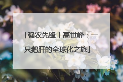 强农先锋丨高世峰：一只鹅肝的全球化之旅