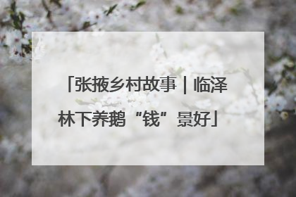 张掖乡村故事｜临泽林下养鹅“钱”景好