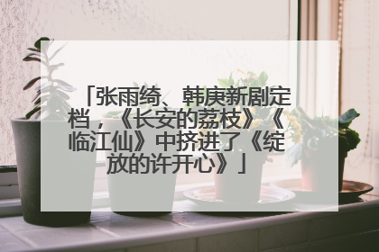 张雨绮、韩庚新剧定档，《长安的荔枝》《临江仙》中挤进了《绽放的许开心》