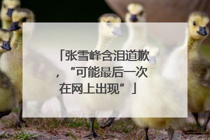 张雪峰含泪道歉，“可能最后一次在网上出现”