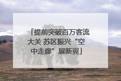 提前突破百万客流大关 苏区振兴“空中走廊”展新翼