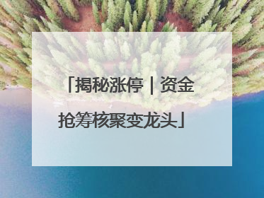 揭秘涨停｜资金抢筹核聚变龙头