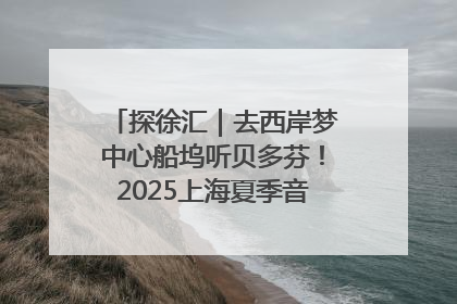 探徐汇｜去西岸梦中心船坞听贝多芬！2025上海夏季音乐节公布节目阵容
