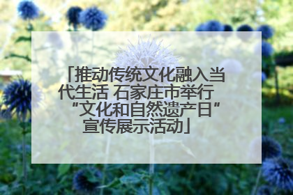 推动传统文化融入当代生活 石家庄市举行“文化和自然遗产日”宣传展示活动
