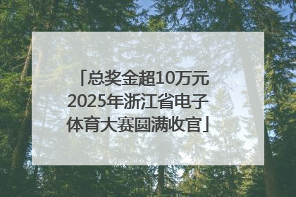 总奖金超10万元 2025年浙江省电子体育大赛圆满收官