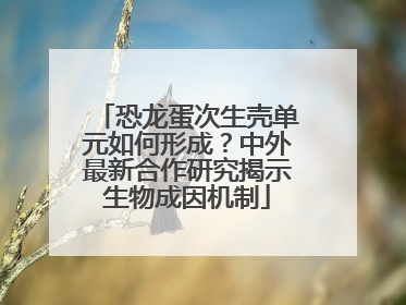 恐龙蛋次生壳单元如何形成？中外最新合作研究揭示生物成因机制