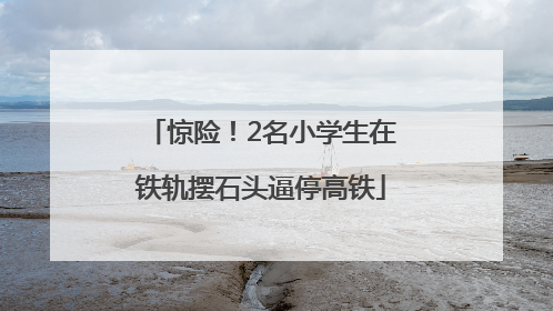 惊险！2名小学生在铁轨摆石头逼停高铁