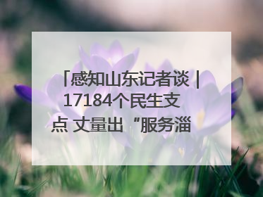 感知山东记者谈｜17184个民生支点 丈量出“服务淄博”的文明温度