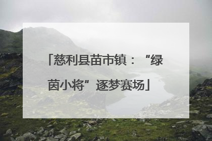 慈利县苗市镇：“绿茵小将”逐梦赛场