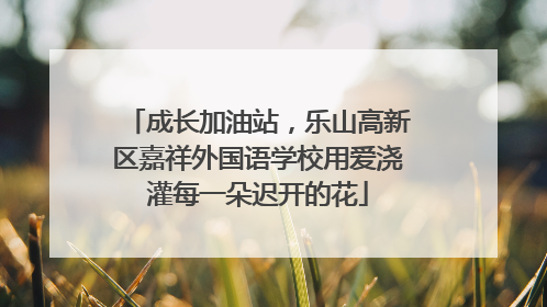 成长加油站，乐山高新区嘉祥外国语学校用爱浇灌每一朵迟开的花
