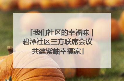 我们社区的幸福味｜碧潭社区三方联席会议共建紫岫幸福家