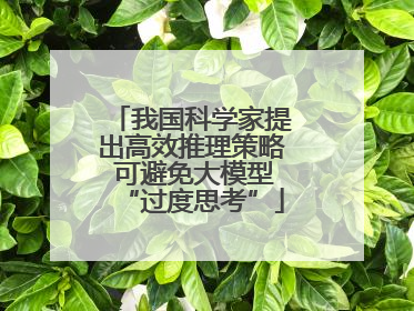 我国科学家提出高效推理策略 可避免大模型“过度思考”