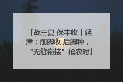 战三夏 保丰收丨延津：前脚收 后脚种，“无缝衔接”抢农时