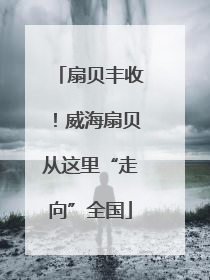 扇贝丰收！威海扇贝从这里“走向”全国