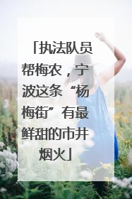 执法队员帮梅农，宁波这条“杨梅街”有最鲜甜的市井烟火