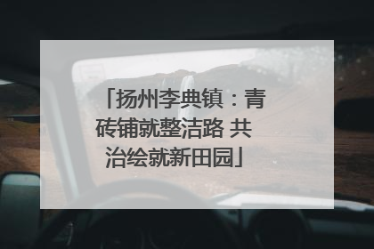 扬州李典镇：青砖铺就整洁路 共治绘就新田园