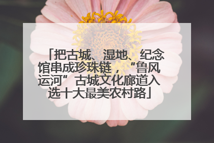 把古城、湿地、纪念馆串成珍珠链，“鲁风运河”古城文化廊道入选十大最美农村路