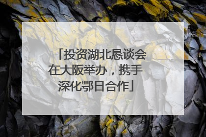 投资湖北恳谈会在大阪举办，携手深化鄂日合作