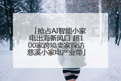 抢占AI智能小家电出海新风口 超100家跨境卖家探访慈溪小家电产业带