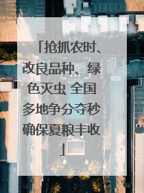 抢抓农时、改良品种、绿色灭虫 全国多地争分夺秒确保夏粮丰收