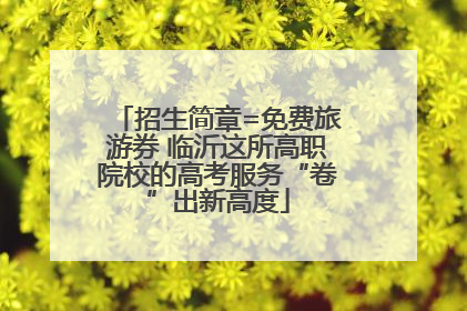 招生简章=免费旅游券 临沂这所高职院校的高考服务“卷”出新高度
