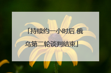 持续约一小时后 俄乌第二轮谈判结束