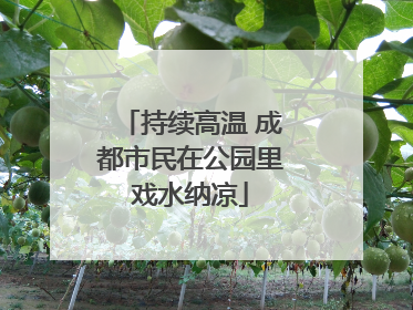 持续高温 成都市民在公园里戏水纳凉