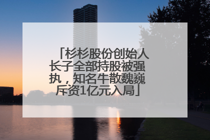 杉杉股份创始人长子全部持股被强执，知名牛散魏巍斥资1亿元入局
