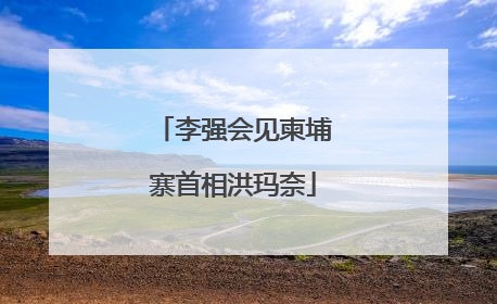 李强会见柬埔寨首相洪玛奈