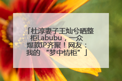 杜淳妻子王灿兮晒整柜Labubu，一众爆款IP齐聚！网友：我的 “梦中情柜”